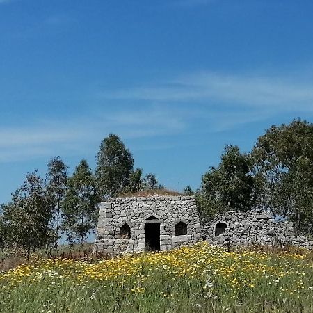Nicuzza Panzió Martano Kültér fotó